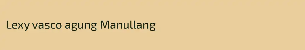 Lexy vasco agung Manullang